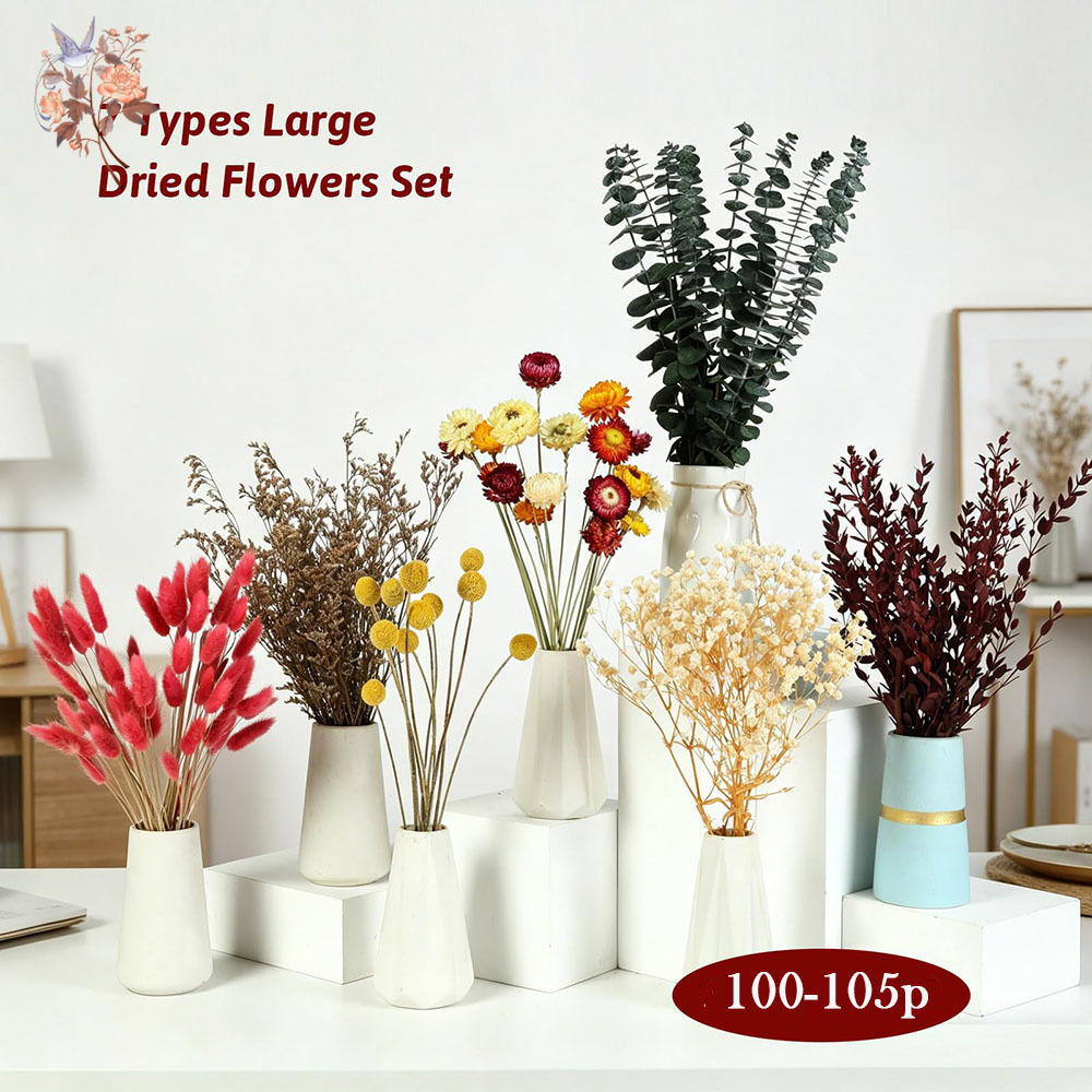 Dried Flowers Bulk Set 7 Kinds - Florist Flower Supply review and price