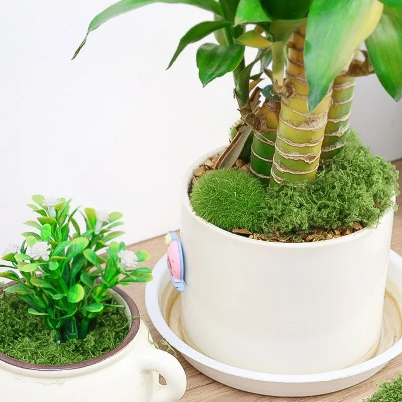 30/300G Artificial Realistic M - Preserved Moss Sheet review and price