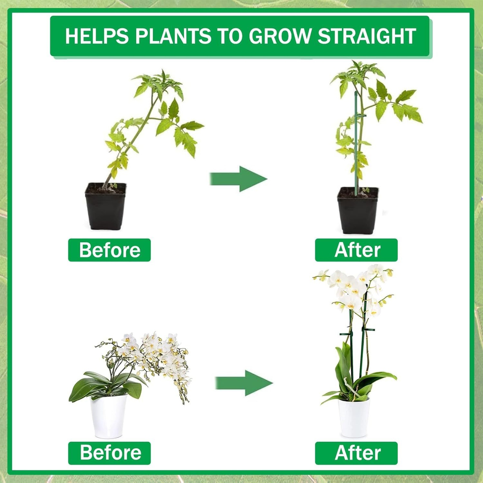 Plant Supports Rod Single Stem - Florist Supply Bulk review and price