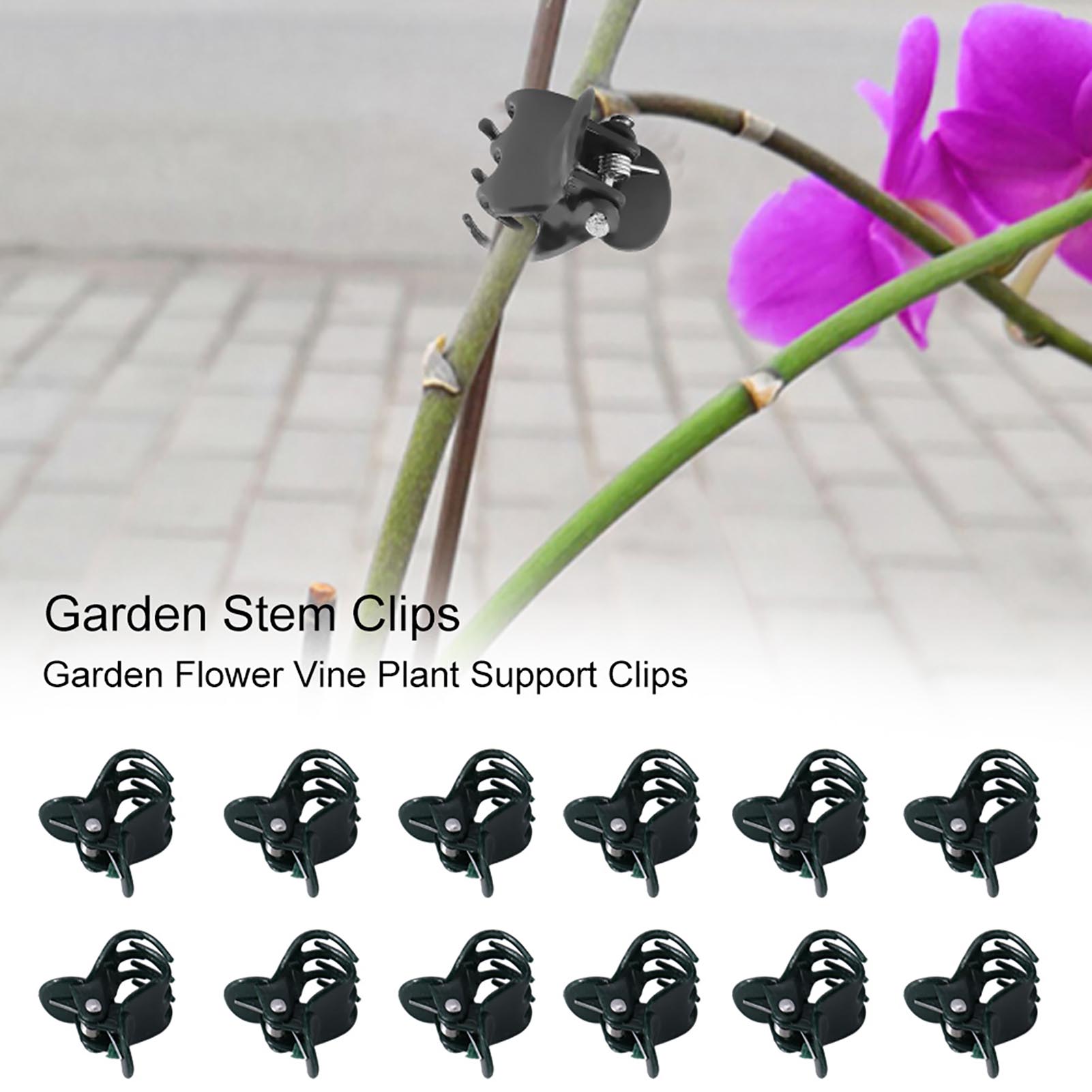 100pcs Mini Plant Clips Garden - Florist Supply Bulk review and price