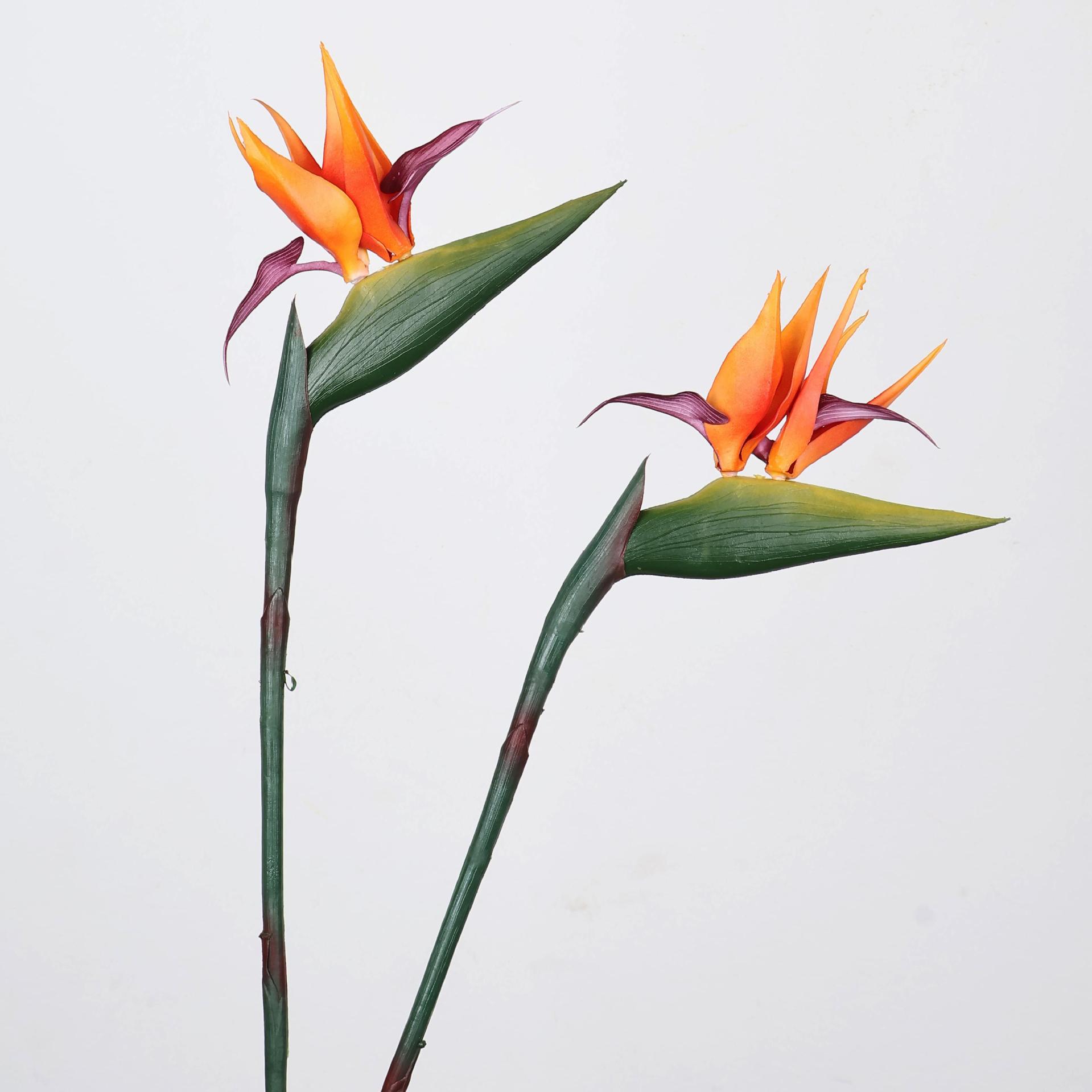 33 Inch Artificial Bird Of Par - Florist Supply Bulk review and price