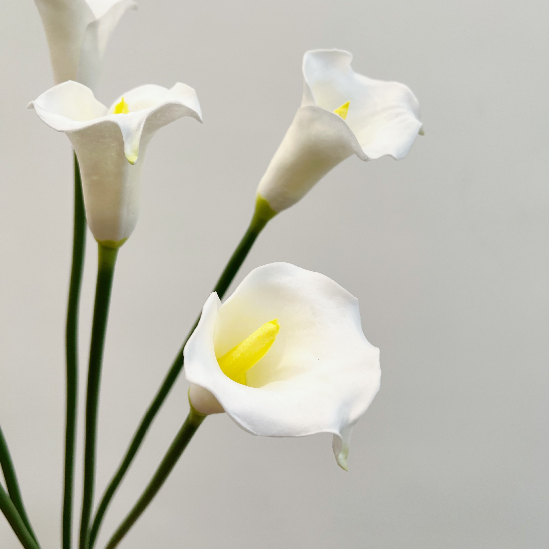 26 Inch Single Stem Crescent C - Florist Supply Bulk review and price
