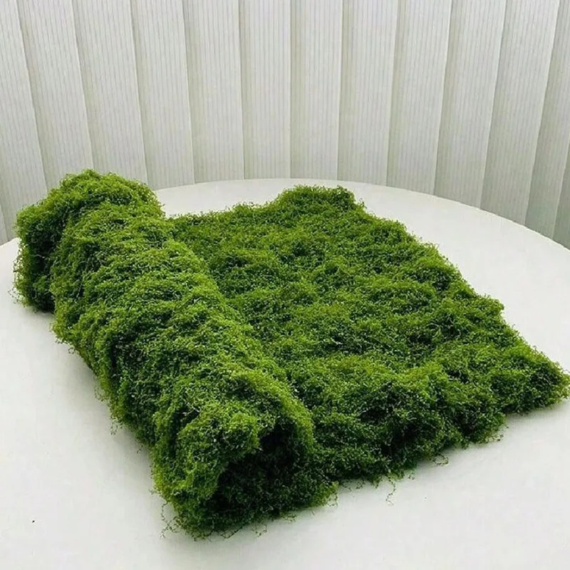 Artificial Moss for Micro-Land - Preserved Moss Sheet review and price